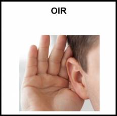 OÍR - Foto