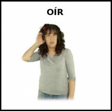 OÍR - Signo