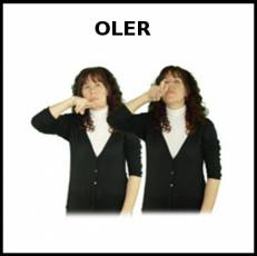 OLER - Signo