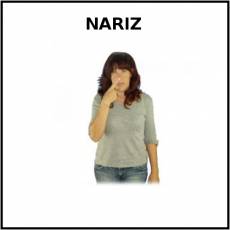 NARIZ - Signo