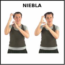 NIEBLA - Signo