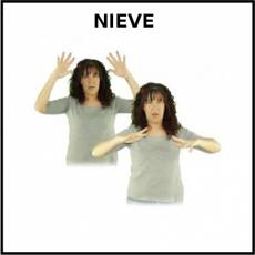 NIEVE - Signo