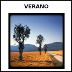 VERANO - Foto