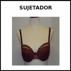 SUJETADOR - Foto