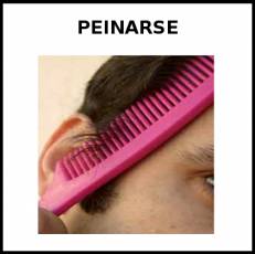 PEINARSE - Foto