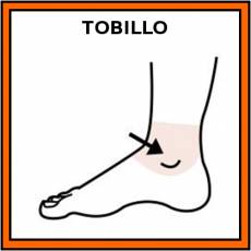 TOBILLO - Pictograma (color)