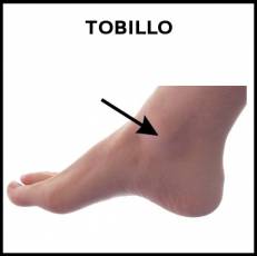 TOBILLO - Foto