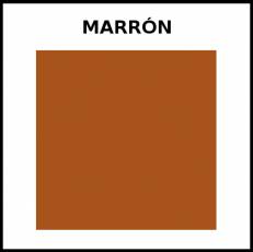 MARRÓN - Foto