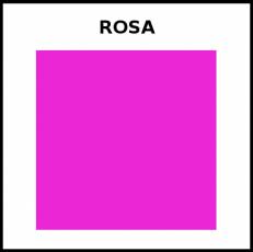 ROSA (COLOR) - Foto