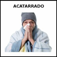 ACATARRADO - Foto