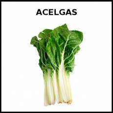 ACELGAS - Foto