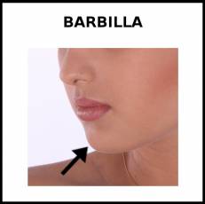 BARBILLA - Foto