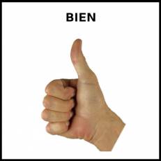BIEN - Foto