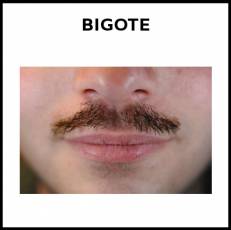BIGOTE - Foto