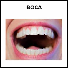 BOCA - Foto