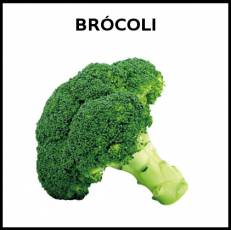 BRÓCOLI - Foto