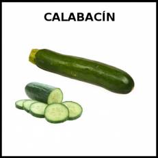 CALABACÍN - Foto