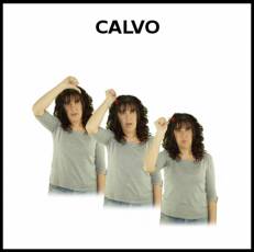 CALVO - Signo
