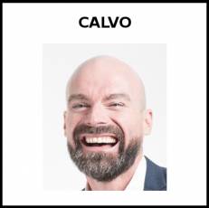 CALVO - Foto
