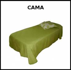 CAMA - Foto