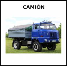 CAMIÓN - Foto
