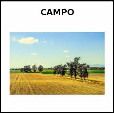 CAMPO - Foto
