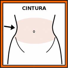 CINTURA - Pictograma (color)