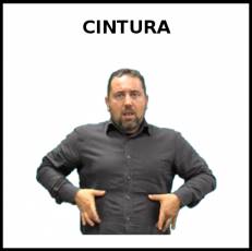 CINTURA - Signo