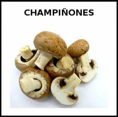 CHAMPIÑONES - Foto