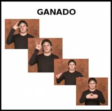 GANADO - Signo