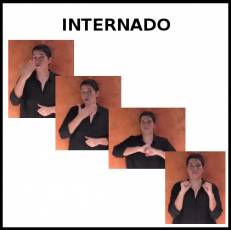 INTERNADO - Signo