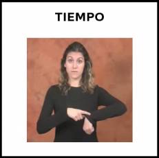 TIEMPO (CRONOLÓGICO) - Signo