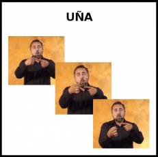 UÑA - Signo