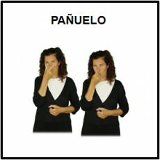 PAÑUELO (PAPEL) - Signo