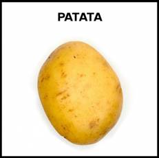 PATATA - Foto