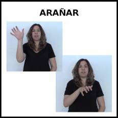 ARAÑAR - Signo