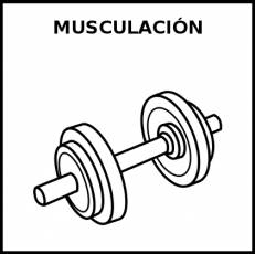 MUSCULACIÓN - Pictograma (blanco y negro)
