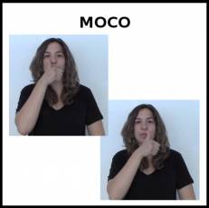 MOCO - Signo