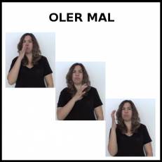 OLER MAL - Signo