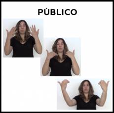 PÚBLICO - Signo