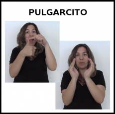 PULGARCITO - Signo