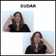 SUDAR - Signo