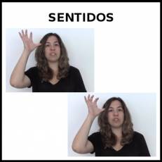 SENTIDOS - Signo