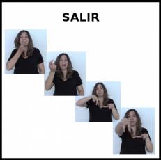 SALIR (EN SILLA) - Signo