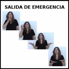 SALIDA DE EMERGENCIA - Signo