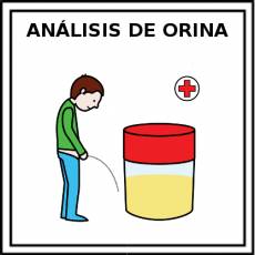 ANÁLISIS DE ORINA - Pictograma (color)