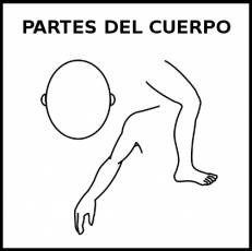 PARTES DEL CUERPO - Pictograma (blanco y negro)
