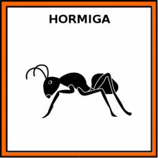 HORMIGA - Pictograma (color)