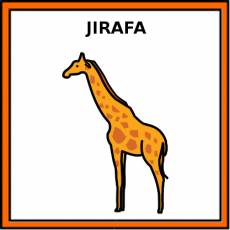 JIRAFA - Pictograma (color)