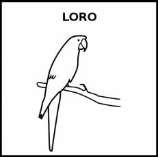 LORO - Pictograma (blanco y negro)